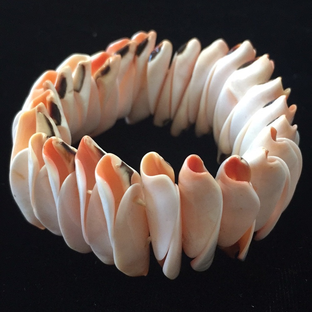 A Seashell Bracelet Beautiful Shells Elastic Band - image 1